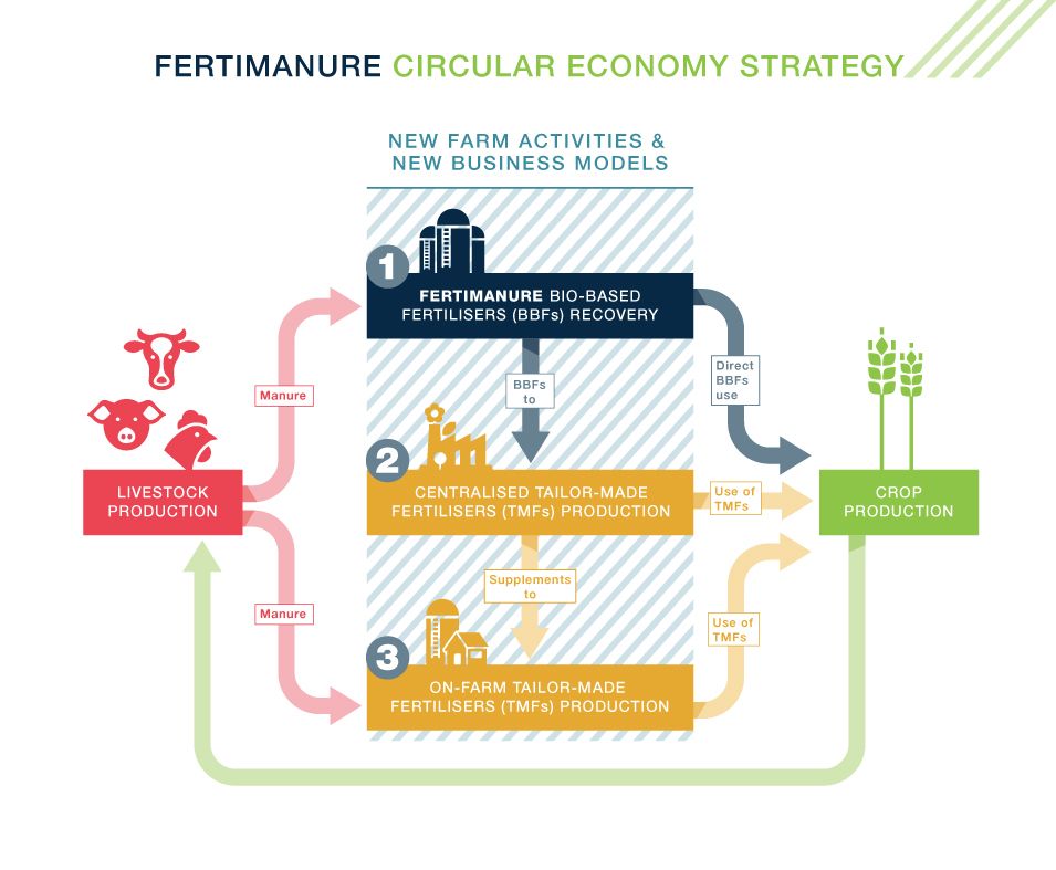 Circular Strategy