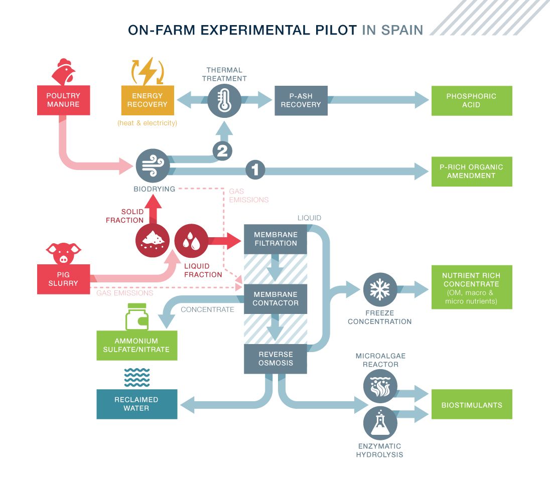 Circular Strategy