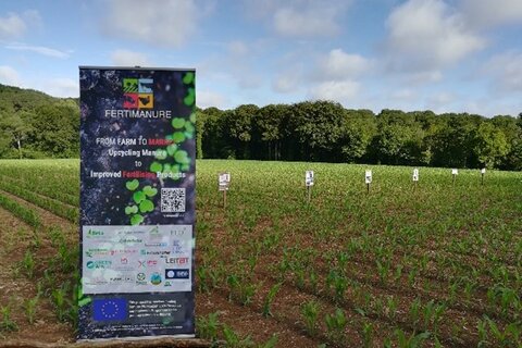 Field test activities for FERTIMANURE biofertilisers take place in France, Belgium, and Spain