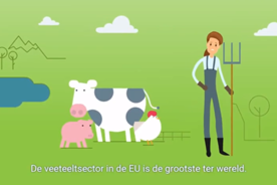 FERTIMANURE EXPLAINED TO THE DUTCH SPEAKING STAKEHOLDERS - EXPLANATORY VIDEO